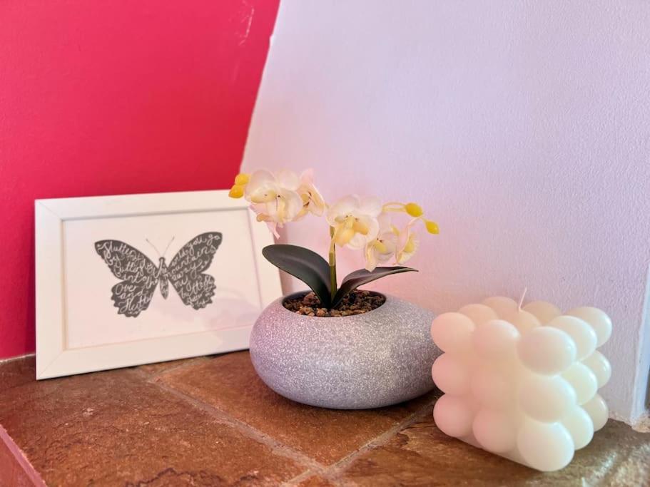 Cozy Fairytal Garden Apartment, Family Friendly, Free Parking, 15 Min To Airport Atena Exterior foto